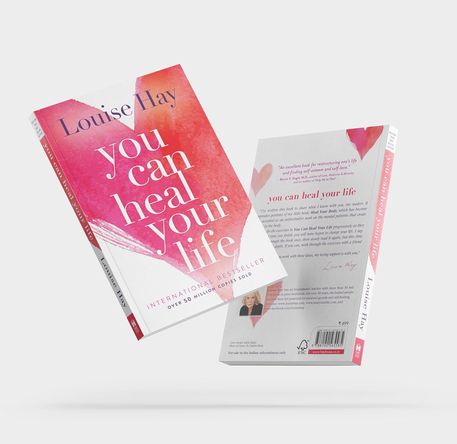 You Can Heal Your Life: The International Bestseller on Emotional Healing, Positive Thinking & the Mind-Body Connection by Louise Hay