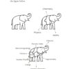11 rules for life: secrets to level up