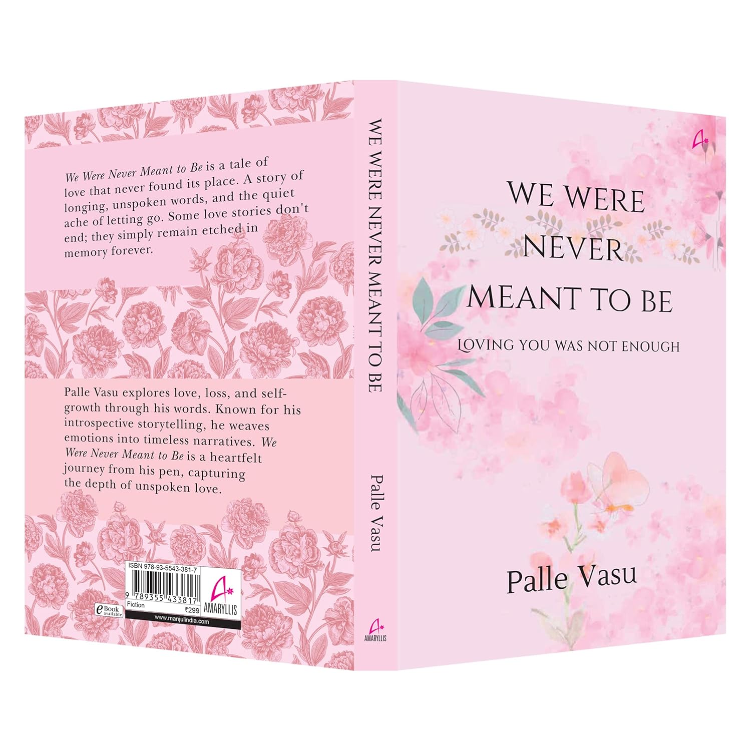 we were never meant to be